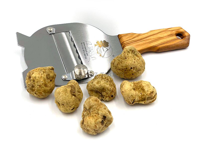 Tartufo Bianco Pregiato Fresco TERZA SCELTA o PICCOLI 5-9 gr - tuber m