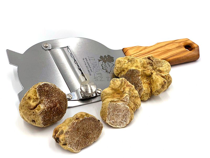 Tartufo Bianco Pregiato Fresco SECONDA SCELTA 10-50g  - Tuber magnatum