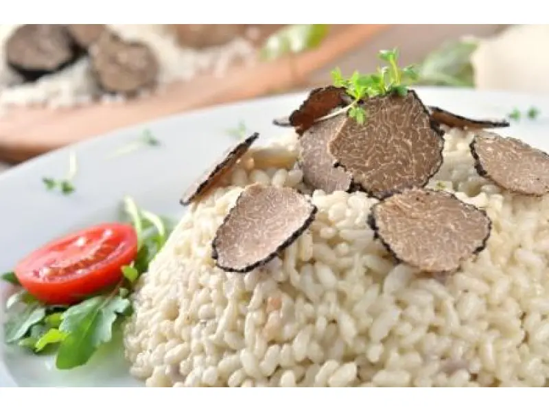 Risotto with truffles