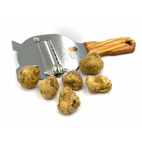 S.Z. Tartufi Fresh White Truffle THIRD CHOICE or SMALL 5-9 g - Tuber magnatum Pico