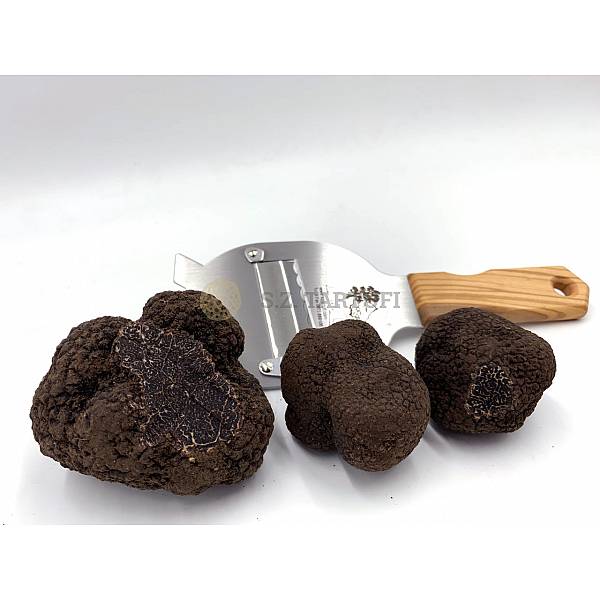 S.Z. Tartufi Frischer Schwarze Trüffel ERSTE WAHL (Tuber melanosporum Vitt.)