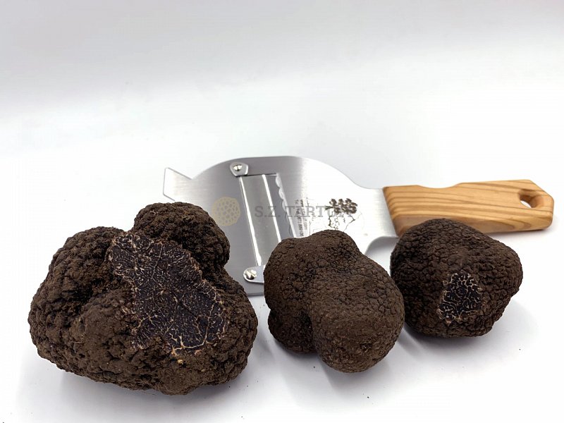 fresh-black-truffle-first-choice-28tuber-melanosporum-vitt-29.jpg